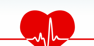 Šokantno: kaj nam je svetovala umetna inteligenca o tem kako živeti dolgo?