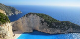 Ne veste kam na poletne počitnice? Ta grški otok ponuja brezplačno bivanje v zameno za pomoč zapuščenim muckam