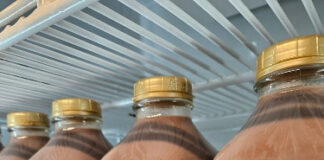 Ameriška raziskava razkriva šokantna dejstva: čokoladno mleko in krava