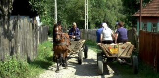Skrivnostno izginotje romunskega kmeta: poznate njegovo zgodbo?
