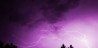 Neverjetno: preživel udarec strele in se vrnil s pomembnim sporočilom!