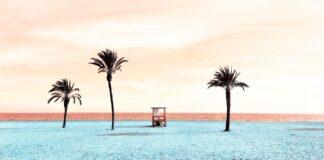 Novo leto pod palmami: preveri kam je odpotovala Ana Klašnja