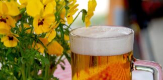 Neverjetno, a resnično: ženski intimni predel in pivo imata skoraj enak pH!