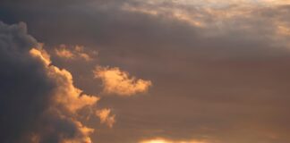 Dejstva o svetu in naravi, ki držijo – mnoga vas bodo šokirala