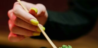 Ne boste verjeli, kaj zmore ena skodelica matcha čaja!