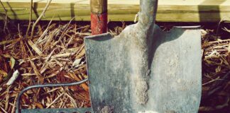 Nova sezona Kmetije: prihaja leto, ko bodo padle vse meje