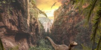 Starši ne zmudite: kaj pomeni, če se otrok igra z dinozavri?