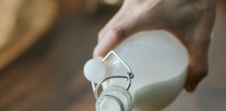 Od kalcija do raka: Razkrivamo, kaj mleko res počne z našim telesom