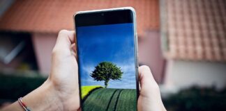 Vaš telefon ve več o vas, kot veste sami – preverite katere podatke zbira!