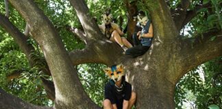 Evropski otroci se spreminjajo v zveri: na tisoče najstnikov renči in teče na štirih – starši brez moči!