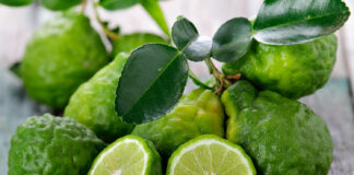 Omamna bergamotka, ki pomirja in zdravi depresije