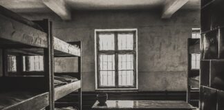 Ljubezen in zločin: resnica o Bonnie Parker in Clyde Barrow