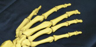 Človeško telo: Strašljive in fascinantne resnice