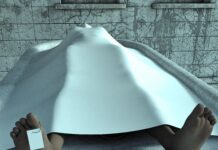 Resnica in šok iz krematorija; kaj točno se dogaja z vašim telesom po smrti?