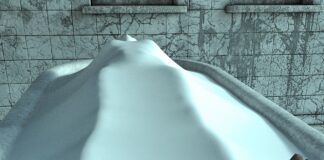 Resnica in šok iz krematorija; kaj točno se dogaja z vašim telesom po smrti?