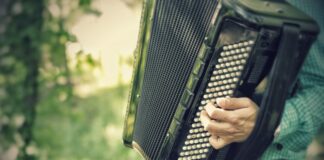 Slovenija na robu zgodovine v igranju harmonike: tisoče harmonikarjev pripravljenih na nov podvig!