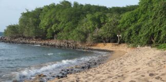 Umrl je najstarejši prebivalec planeta: Jonathan je preživel vojne, imperije in skoraj dve stoletji – nato pa tiho odšel