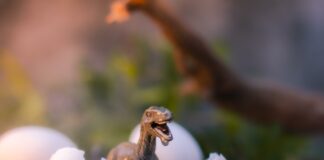 Šokantno odkritje na jugu Francije: razkrito pravo mesto dinozavrovih jajc