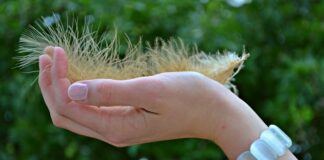 NAPAKA, KI JO DELA SKORAJ VSAK: Si nohte piliš popolnoma narobe? Tako to počnejo profesionalci!