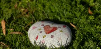 Ste že imeli srečo in ste našli svoj kamen sreče?