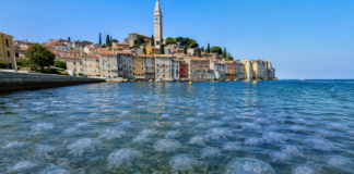 Rovinj preplavile meduze: »Nemogoče je plavati, povsod so!«