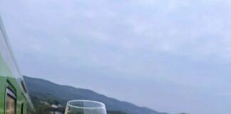 Vinski vlak Vipavske doline: Doživetje, ki povezuje vino, kulinariko in zgodovino vinski_vlak_vipavska_dolina_3